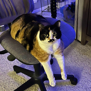 Meet your Posher, Rita